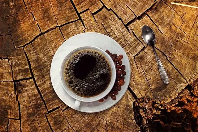 Meilleur café bio en grain : guide d'achat complet