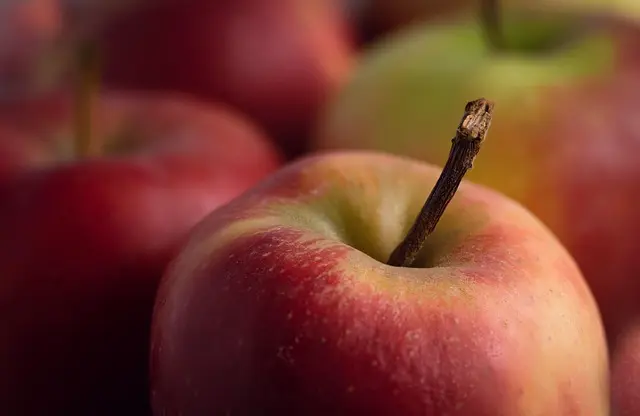 Guide d'achat des meilleurs déodorants bio