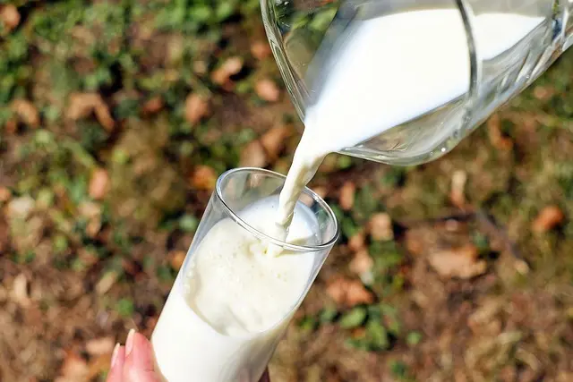 Guide d'achat des boissons végétales bio