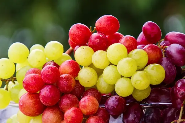 Meilleurs produits bio pour sportifs - Guide d'achat